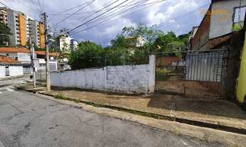 Imagem 4: SãO PAULO - Terreno Padrão - Vila Sônia