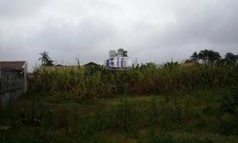 Imagem 5: Terreno murado Iririu em Joinville