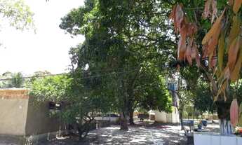 Imagem 7: Uma excelente granja totalmente plana e murada