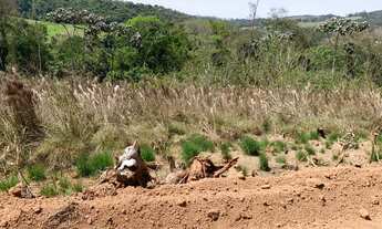 Imagem 3: Terreno para você de Guarulhos