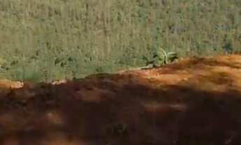 Imagem 4: Vendo ou troco terreno de 900 metros quadrados