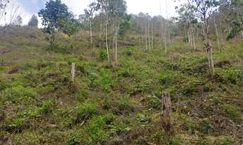 Imagem 6: Vendo , sítio 140 mil em Marechal Floriano
