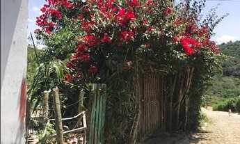 Imagem 4: TERRENO A 300 METROS DO CENTRO