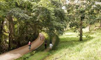 Imagem 7: SãO FRANCISCO DO CONDE - Terreno Padrão - Ilha Bimbarras