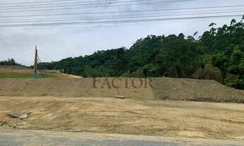 Imagem: Terreno industrial com frente para a BR470