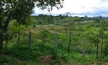 Imagem: SÍTIO A 300M DA BR232 VITORIA SANTO ANTÃO