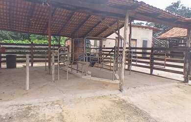 Imagem 6: Oportunidade! Excelente de fazenda 12 Alqueires