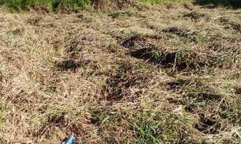 Imagem 4: Terreno 15x17 no centro de Ilha Comprida, perfeito para construir!