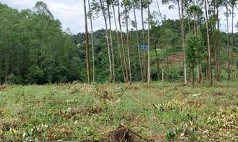 Imagem 4: Lote/Terreno para venda possui 500 metros quadrados em Santa Isabel - Domingos Martins - E
