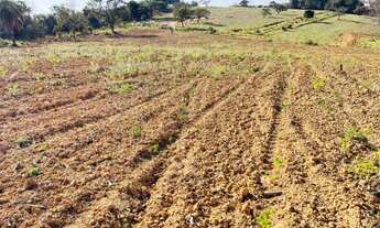 Imagem 4: CHÁCARA 1.000M COM FINANCIAMENTO DIRETO COM PROPRIETÁRIO