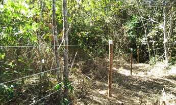 Imagem 4: Chácara 6.700 m2 Córrego Muita Mata Próximo Salto Corumbá de Goiás