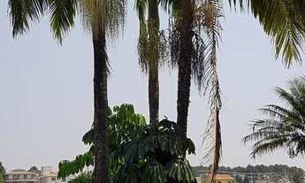 Imagem 4: Casa com 3 dormitórios à venda, 360 m² por R$ 4.450.000,00 - Alphaville 01 - Barueri/SP