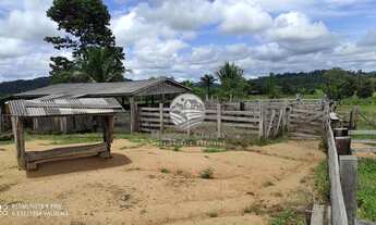 Imagem 6: Ariquemes - Sítio - 10 Alqueires