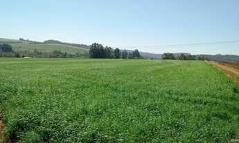 Imagem 6: 6 alq. na região sul de Cascavel