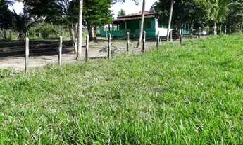 Imagem: Fazenda com 172,06 Ha em Laje