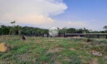 Imagem 2: Machadinho D'Oeste - Sítio - 15 Alqueires