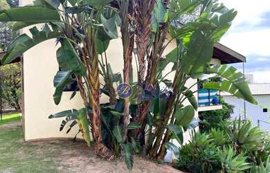 Imagem 4: Casa com 4 dormitórios à venda, 450 m² por R$ 2.800.000,00 - Condomínio Santa Fé - Vinhedo