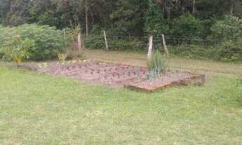 Imagem 5: Ótima chácara em área rual, localizada no bairro Pinheiros, um refúgio em meio a natureza!