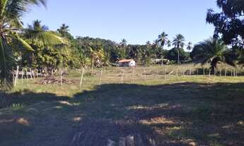 Imagem 2: Oportunidade terrenos em reserva Sapiranga em Praia do Forte