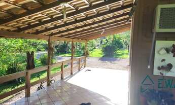 Imagem 4: Tijucas - Sítio - timbe