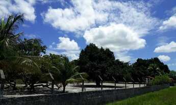 Imagem 4: Uma excelente granja totalmente plana e murada