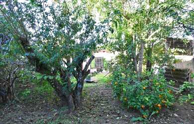 Imagem 7: Porto Alegre - Casa Padrão - Belém Novo