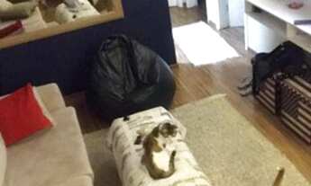 Imagem 3: Sorocaba - Apartamento Padrão - Jardim Josane