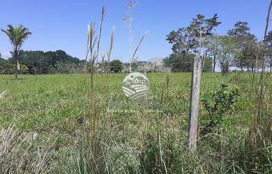 Imagem 2: Vale do Paraíso - Sítio - 25 alqueires proximo da cidade