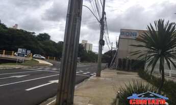 Imagem 4: Residencial - Pq Arnold Schimidt