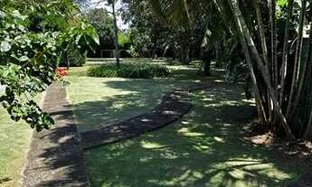 Imagem 6: Chácara magnífica em franca !!!!!!