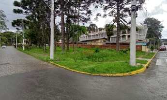 Imagem 6: Terreno no Centro de Canela!