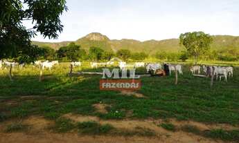 Imagem 6: Fazenda 204 Alqueires (987 Hectares) em Natividade - TO