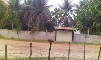 Imagem 2: Lindo Sítio/ Ótima oportunidade/ Limoeiro Capoeira