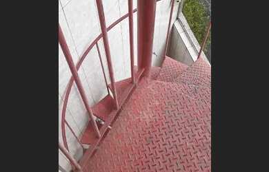 Imagem 6: SãO PAULO - Sobrado Padrão - Flor da Cantareira