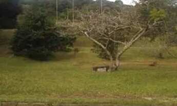 Imagem: Terreno para Venda - 0m², 0 dormitórios