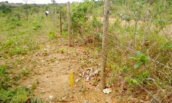 Imagem 6: Área 6.600 MTS - Excelente Preço pra vender hoje