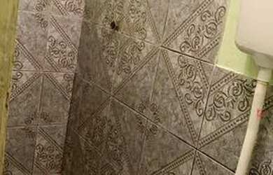 Imagem 5: Alugo casa na cidade nova 700 reais