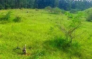 Imagem 3: 30p-OPORTUNIDADE DE TERRENO AO LADO DA NATUREZA