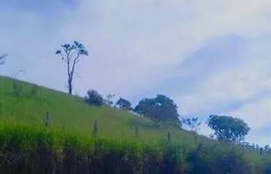 Imagem 4: TENHA UMA LINDA VISTA DA REPRESA,DA SUA CASA