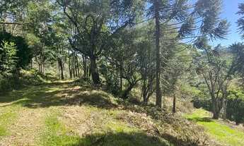 Imagem 7: Terrenos 20.000 m² - Santa Lucia do Piaí - Caxias do Sul