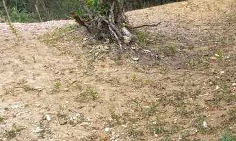 Imagem 2: Lote bairro Laranjeiras JM 373m²