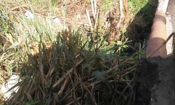 Imagem 7: TERRENO NO CORAÇÃO DO ROCHA C/ MENOR VALOR M² DA REGIÃO