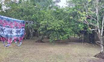 Imagem: Vendo lindo terreno tenoné