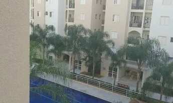 Imagem: Oportunidade smile