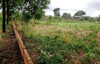 Imagem 3: Dois terrenos em Anhanduí