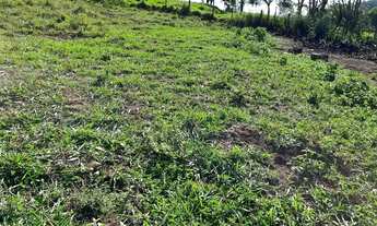 Imagem: Terrenos com Escritura