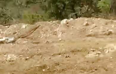 Imagem: Lotes sol nascente