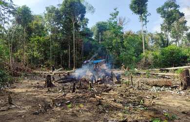 Imagem 2: Terreno 20x53 Km 26