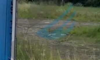 Imagem 3: Aluga-se área aproximadamente 1.500 m² dentro de um Posto em Realengo