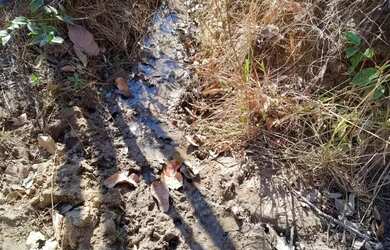 Imagem 3: Sitio a venda Fazenda / sítio com venda por R$350.000